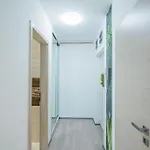 Apartamento Jungle *